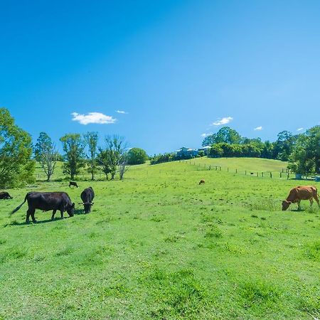 Jacaranda Creek Farmstay & B&B Sunshine Coast Εξωτερικό φωτογραφία